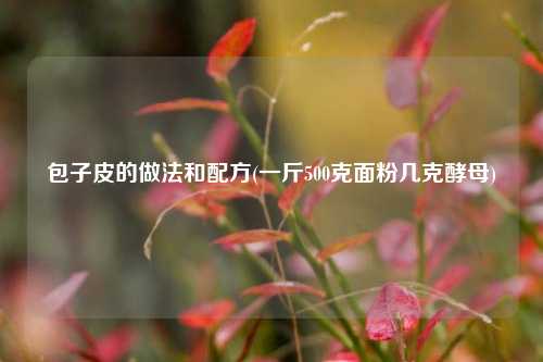 包子皮的做法和配方(一斤500克面粉几克酵母)