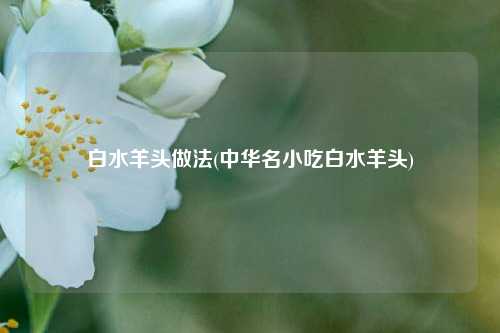 白水羊头做法(中华名小吃白水羊头)
