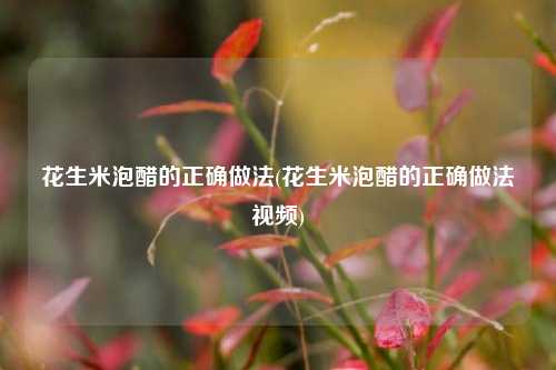 花生米泡醋的正确做法(花生米泡醋的正确做法视频)