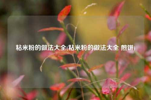 粘米粉的做法大全(粘米粉的做法大全 煎饼)