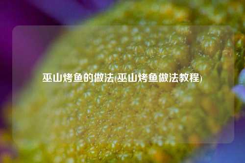 巫山烤鱼的做法(巫山烤鱼做法教程)