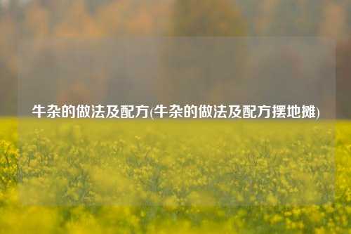 牛杂的做法及配方(牛杂的做法及配方摆地摊)