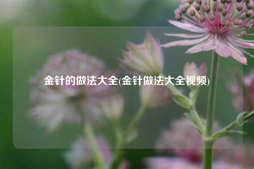 金针的做法大全(金针做法大全视频)