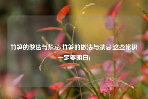 竹笋的做法与禁忌(竹笋的做法与禁忌,这些常识一定要明白)