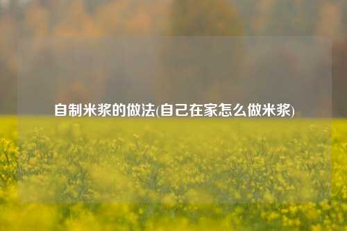 自制米浆的做法(自己在家怎么做米浆)