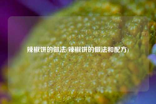 辣椒饼的做法(辣椒饼的做法和配方)