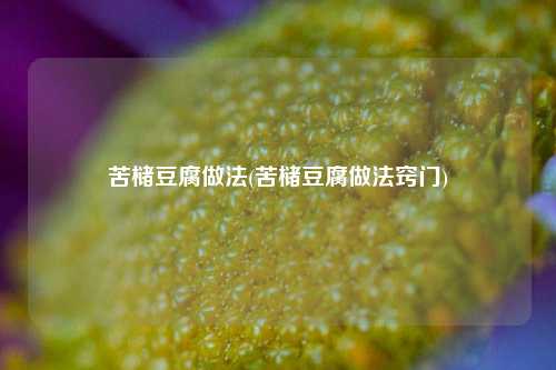苦槠豆腐做法(苦槠豆腐做法窍门)