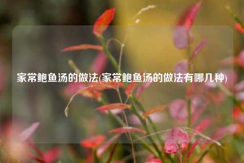 家常鲍鱼汤的做法(家常鲍鱼汤的做法有哪几种)