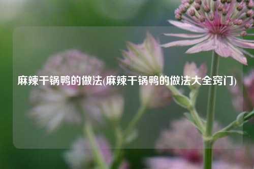 麻辣干锅鸭的做法(麻辣干锅鸭的做法大全窍门)