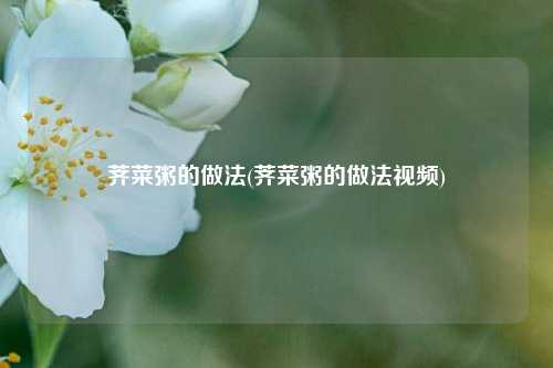 荠菜粥的做法(荠菜粥的做法视频)