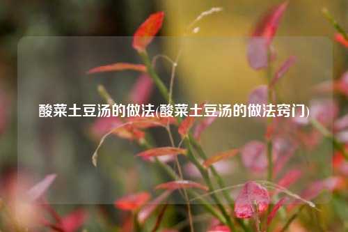 酸菜土豆汤的做法(酸菜土豆汤的做法窍门)